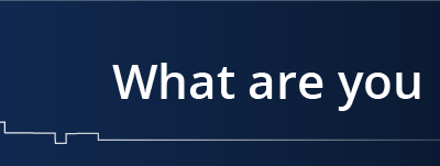 Why Choose GovSurf?